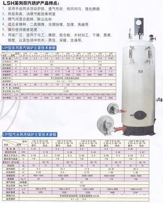 立式蒸汽鍋爐選購指南 價(jià)格、廠家與燃煤型特點(diǎn)全解析
